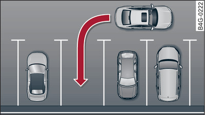 Representação esquemática: estacionar em espinha